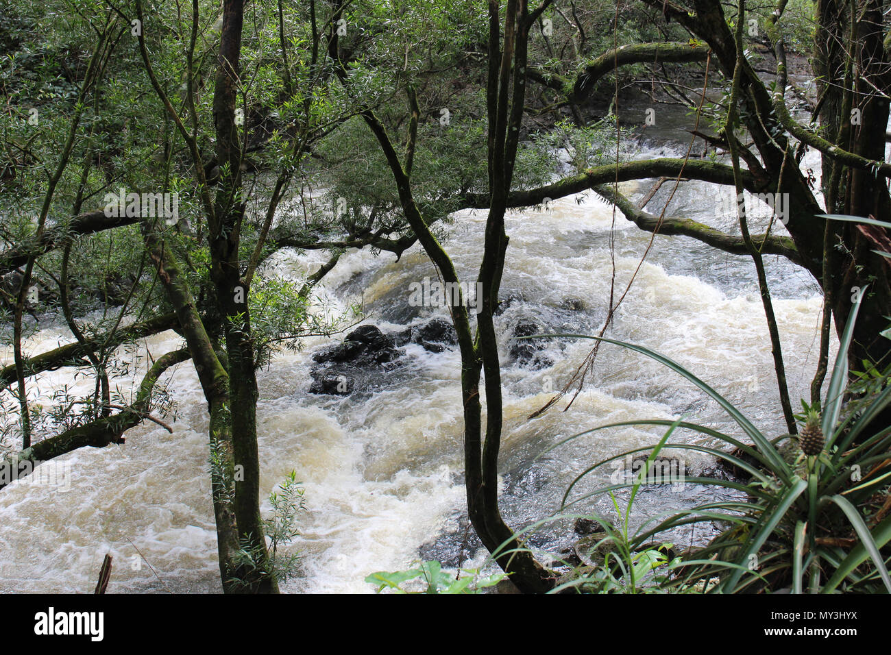 Acqua a cascata su roccia in un flusso turbolento, in corrispondenza del fondo di Twin Falls, sulla strada di Hana in Haiku, Maui, STATI UNITI D'AMERICA Foto Stock