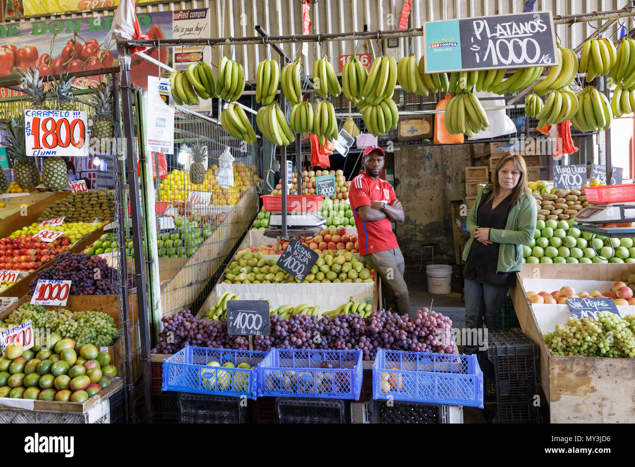 Santiago del Cile: Mercato Vega aka Mercado Vega è il posto dove andare per una fresca e prodotti regionali Foto Stock