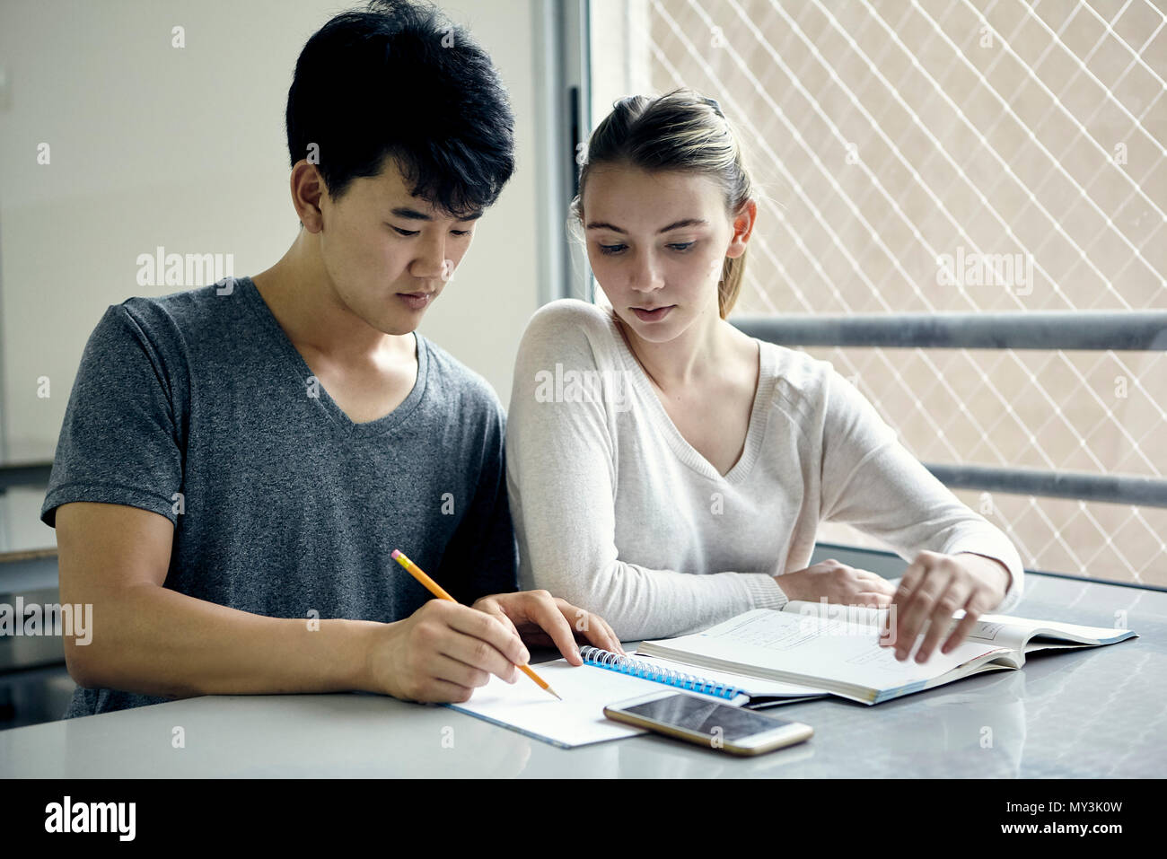 I compagni di scuola studiano insieme Foto Stock