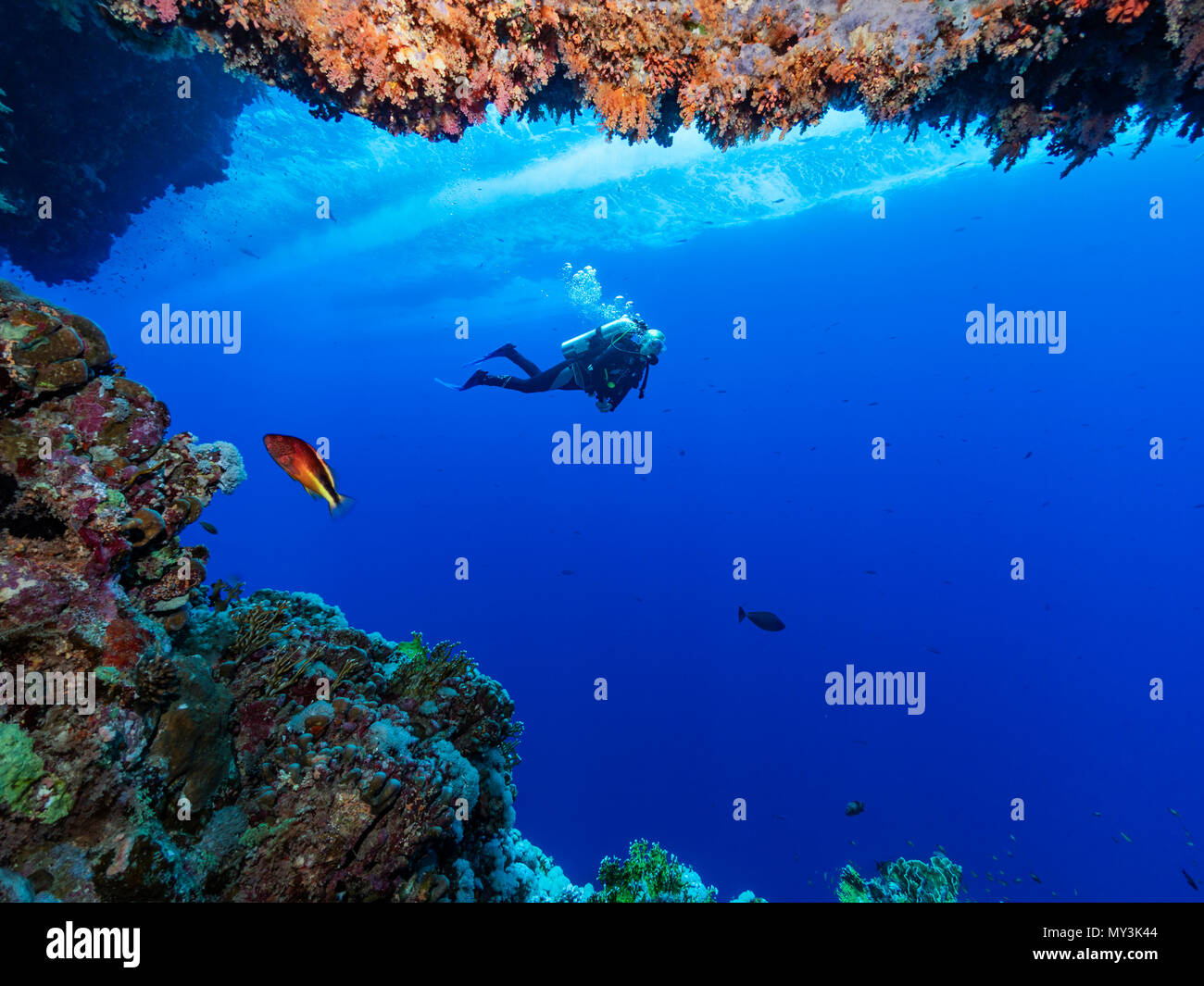 submerged-cave-immagini-e-fotografie-stock-ad-alta-risoluzione-alamy
