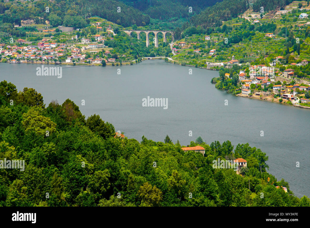 Vista panoramica dei vigneti della valle del Douro Ervedosa, Portogallo. Foto Stock
