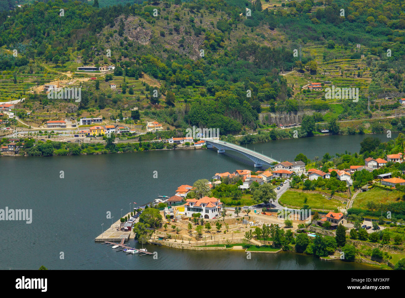 Vista panoramica dei vigneti della valle del Douro Ervedosa, Portogallo. Foto Stock
