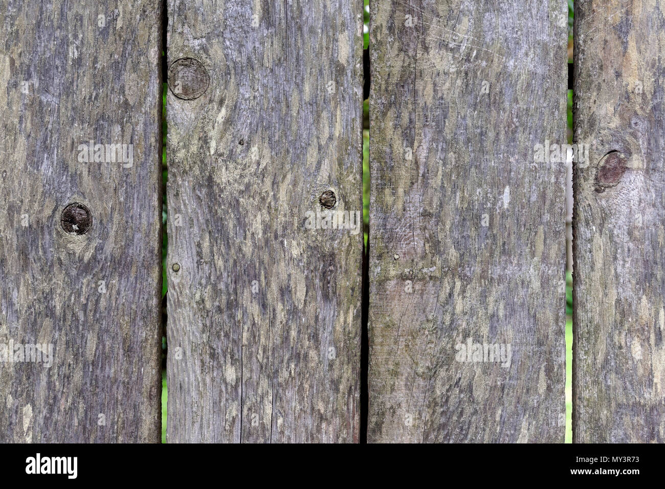 Weathered non verniciata recinzione in legno sfondo Foto Stock