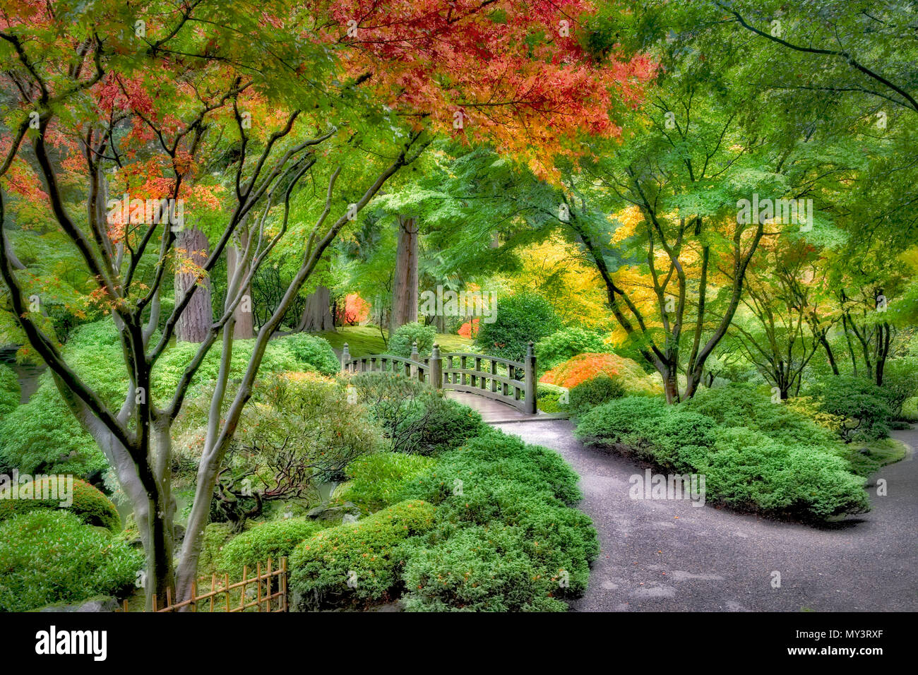 Autunno a colori ponte e percorso in corrispondenza di giardini giapponesi. Portland. Oregon Foto Stock
