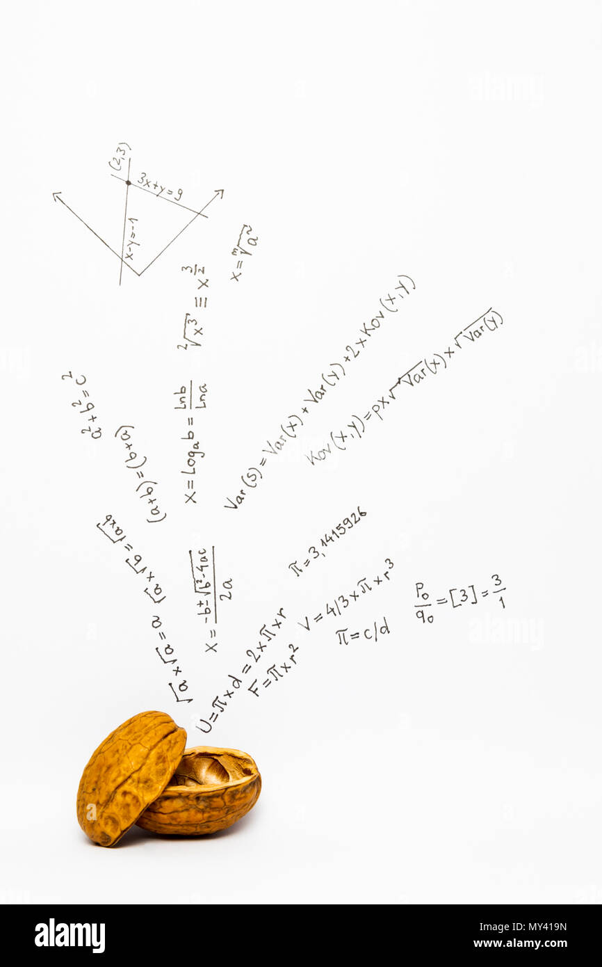 Concetto di espressione matematica in un nutshell. Formule matematiche disegnato su carta bianca con le noci Foto Stock