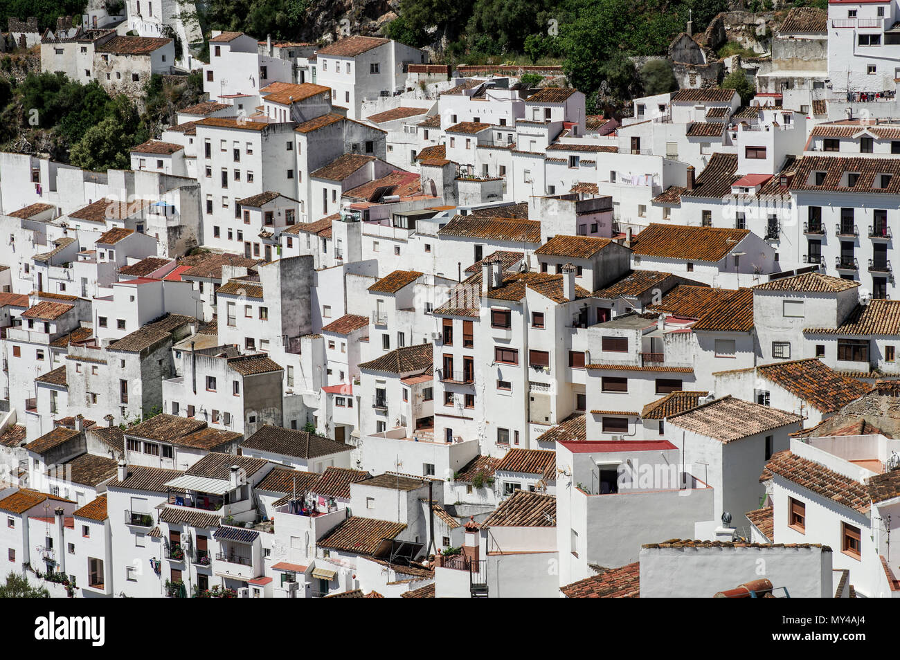 Piuttosto andalusa di 'pueblo blanco" - villaggio imbiancate Casares nella provincia di Malaga, Spagna Foto Stock