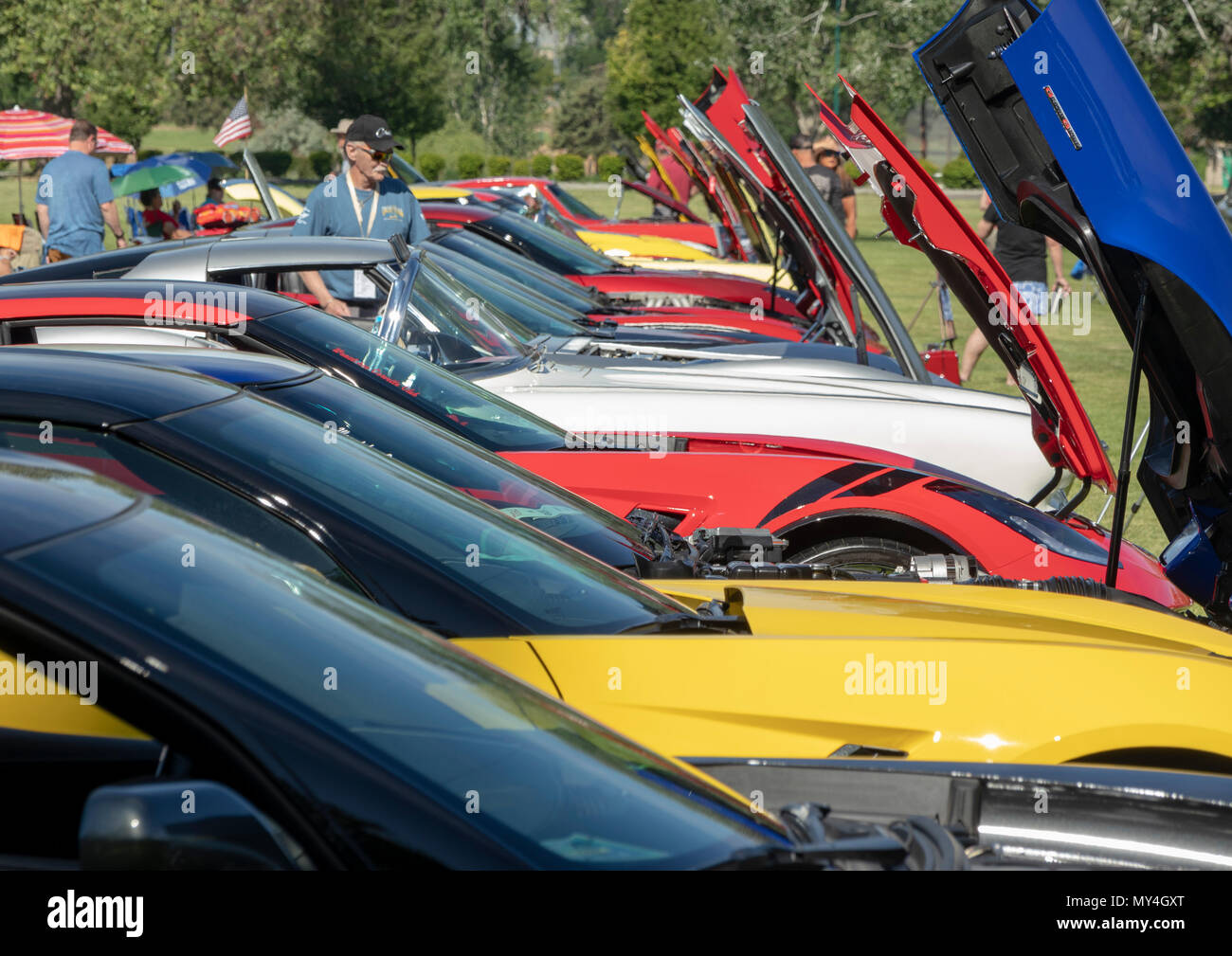 Chevrolet Corvette auto da rally, Kennewick, Washington, Stati Uniti d'America Foto Stock