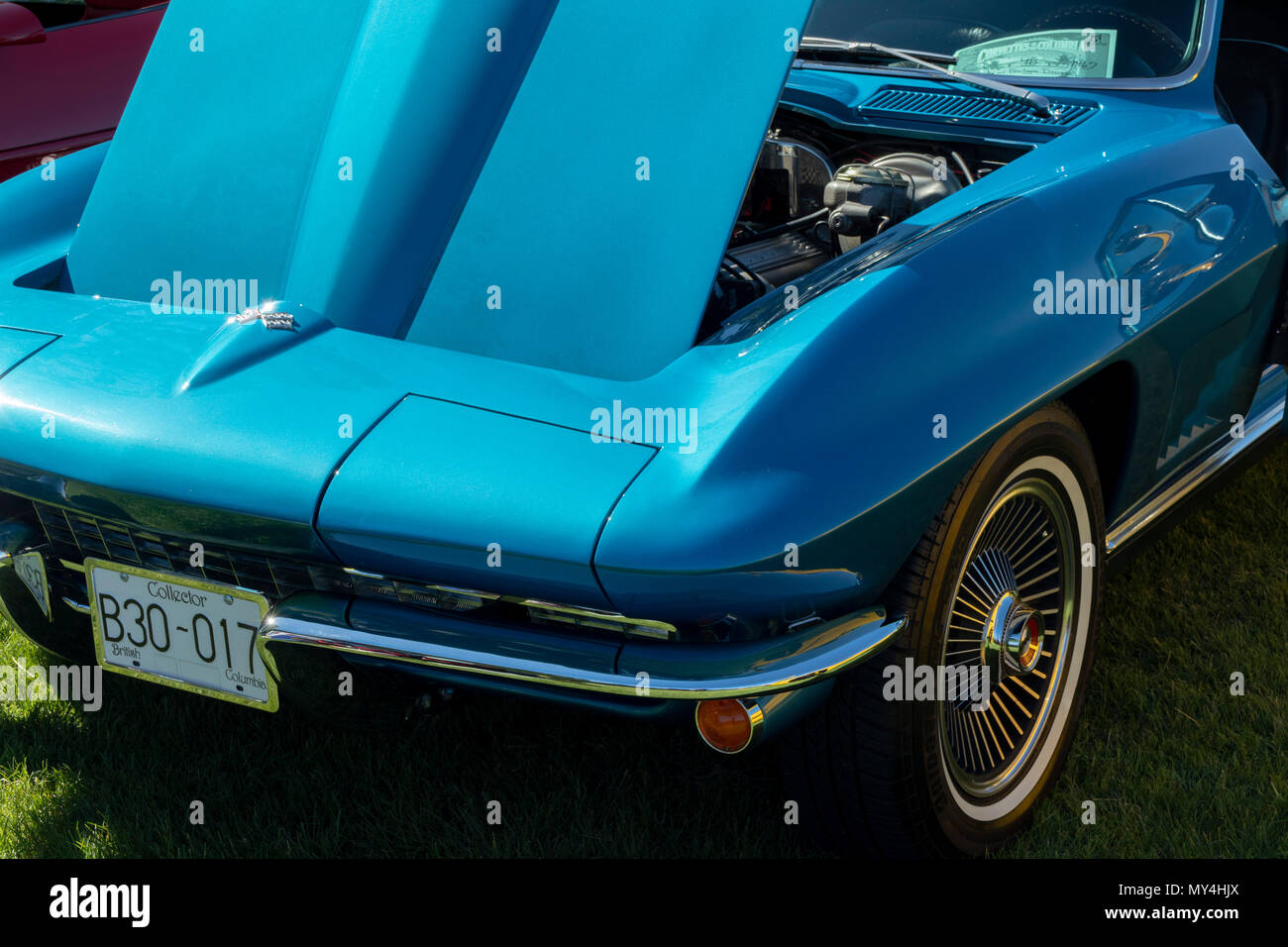 Chevrolet Corvette auto da rally, Kennewick, Washington, Stati Uniti d'America Foto Stock