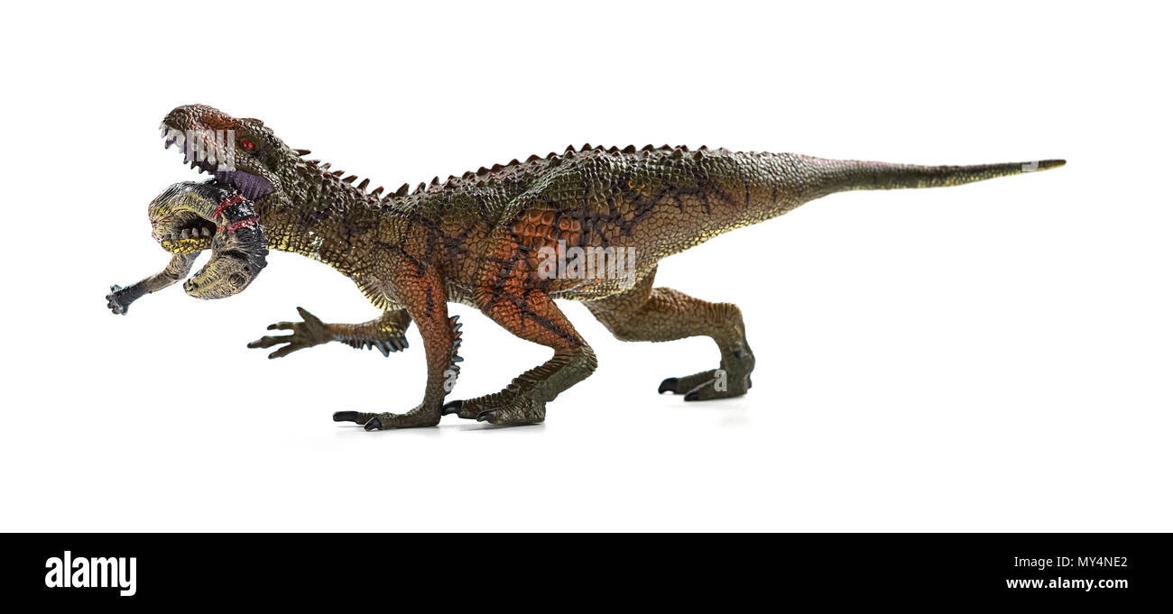 Carcharodontosaurus mordere un dinosauro corpo con il sangue su sfondo bianco Foto Stock