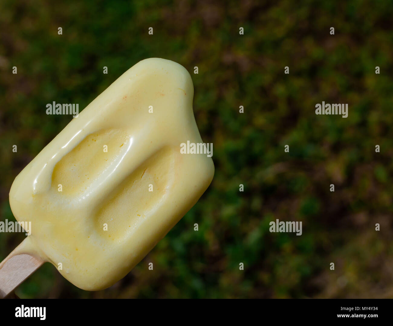 Giallo congelati ghiaccioli Ice Pop sul periodo estivo e sfondo ad albero Foto Stock