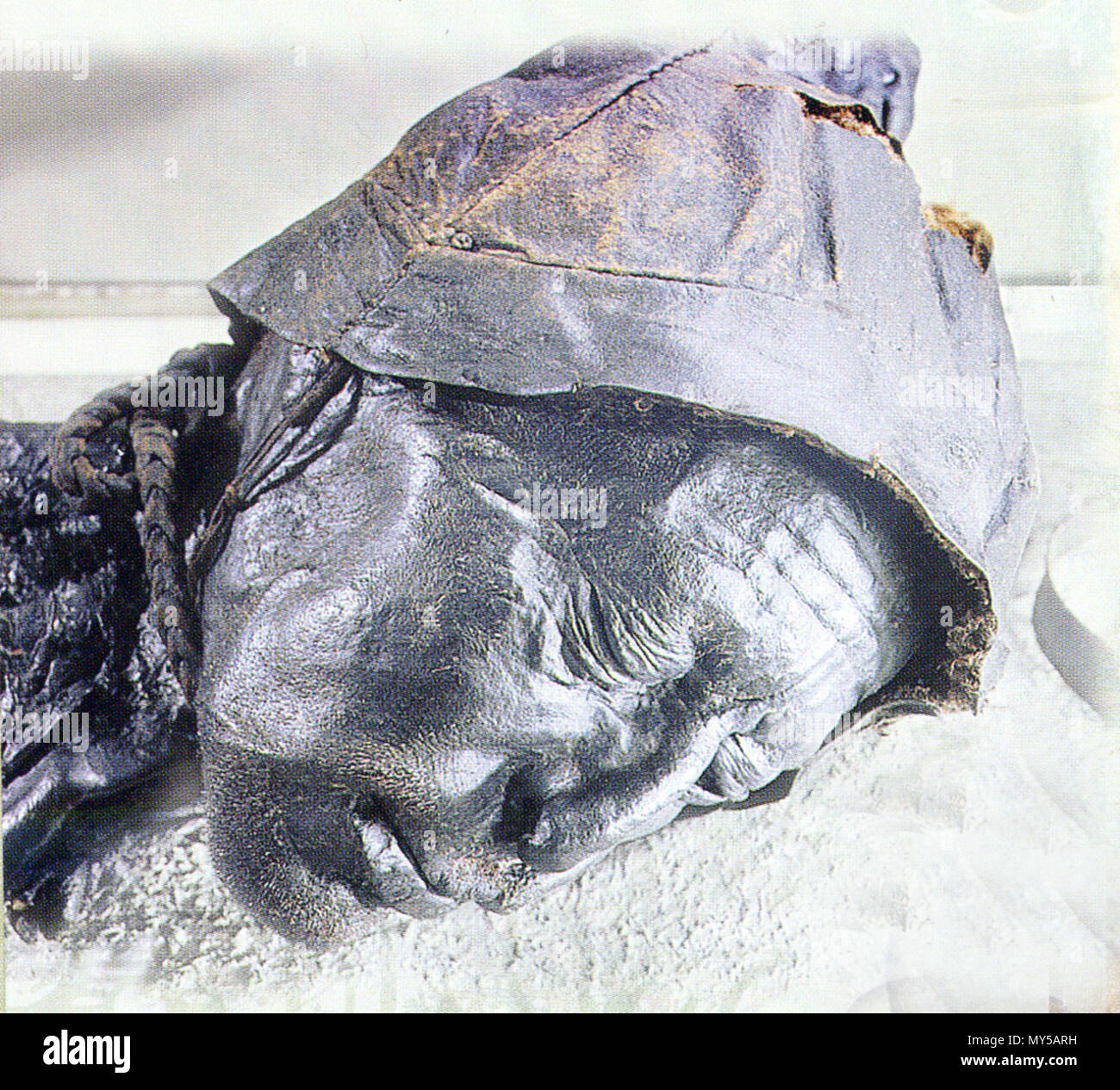 596 Повешенный из Толлунда Foto Stock