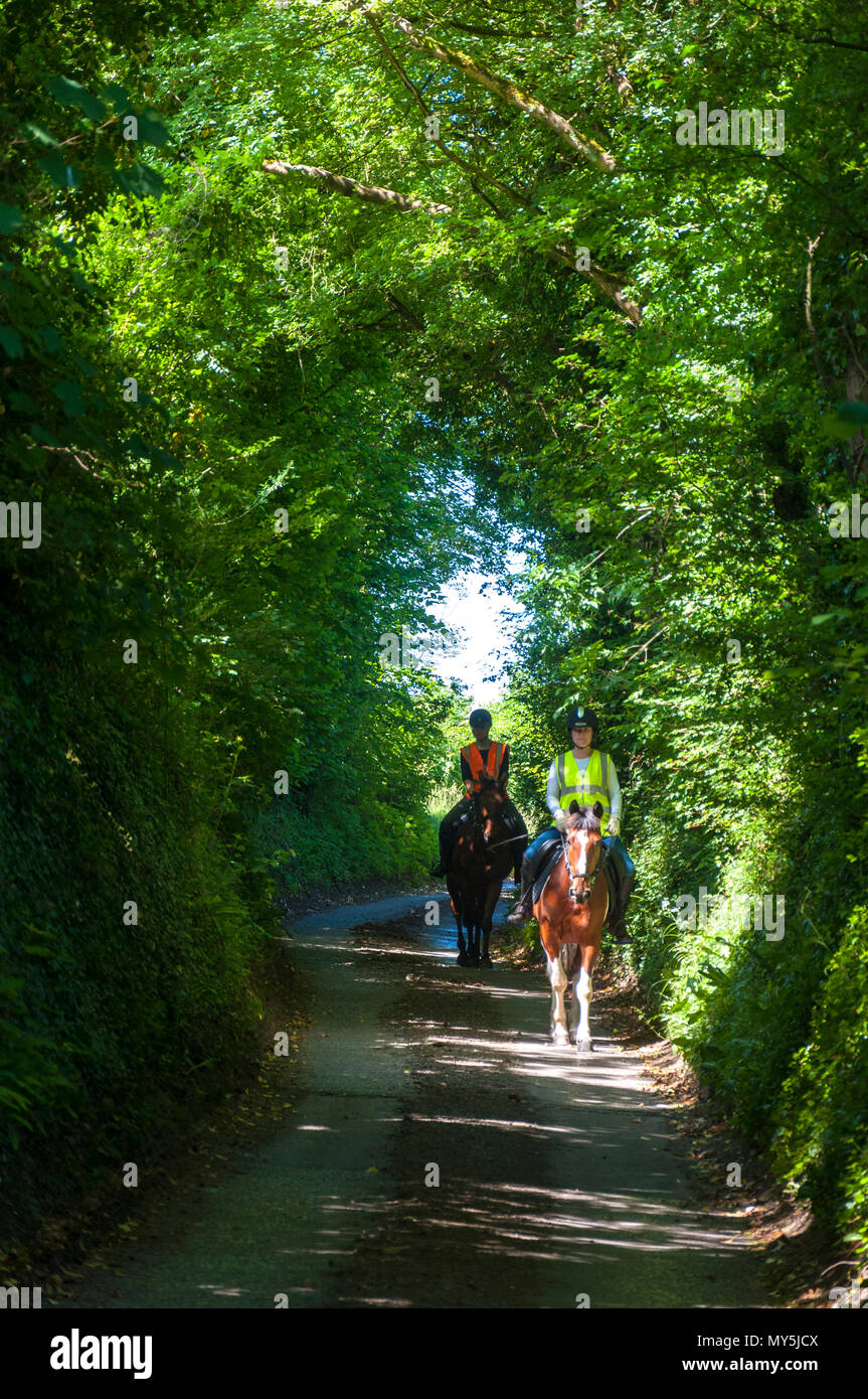 Batheaston, Somerset, 6 giugno 2018. Regno Unito: Meteo cavalieri corsa attraverso un tunnel di alberi su un bel sole e caldo giorno. Credito: Richard Wayman/Alamy Live News Foto Stock