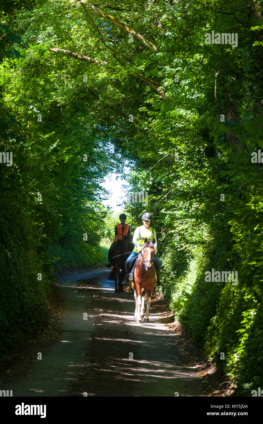 Batheaston, Somerset, 6 giugno 2018. Regno Unito: Meteo cavalieri corsa attraverso un tunnel di alberi su un bel sole e caldo giorno. Credito: Richard Wayman/Alamy Live News Foto Stock