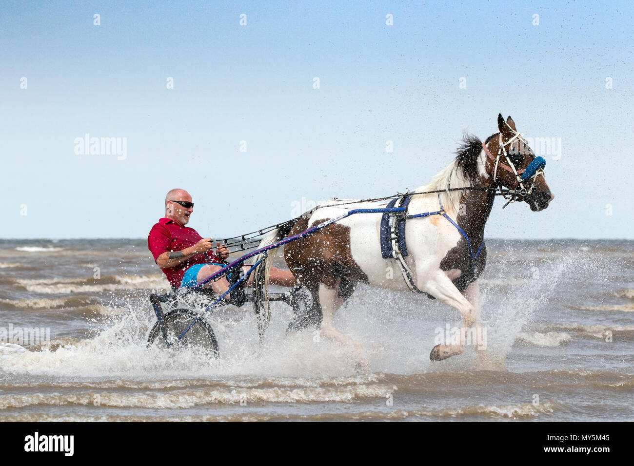 Sulky Carrello Rider sulla spiaggia di Southport, Merseyside. Il 6 giugno 2018. Bernard Perry [mr] è trainato nel suo carrello jockey o sulky dal suo amato 6 anno vecchio mare 'Trigger' lungo il litorale della marea sulla spiaggia di Southport nel Merseyside. Un sulky è un carrello leggero avente due ruote e un sedile per il conducente e viene generalmente utilizzato per il cablaggio racing. Credito: Cernan Elias/Alamy Live News Foto Stock