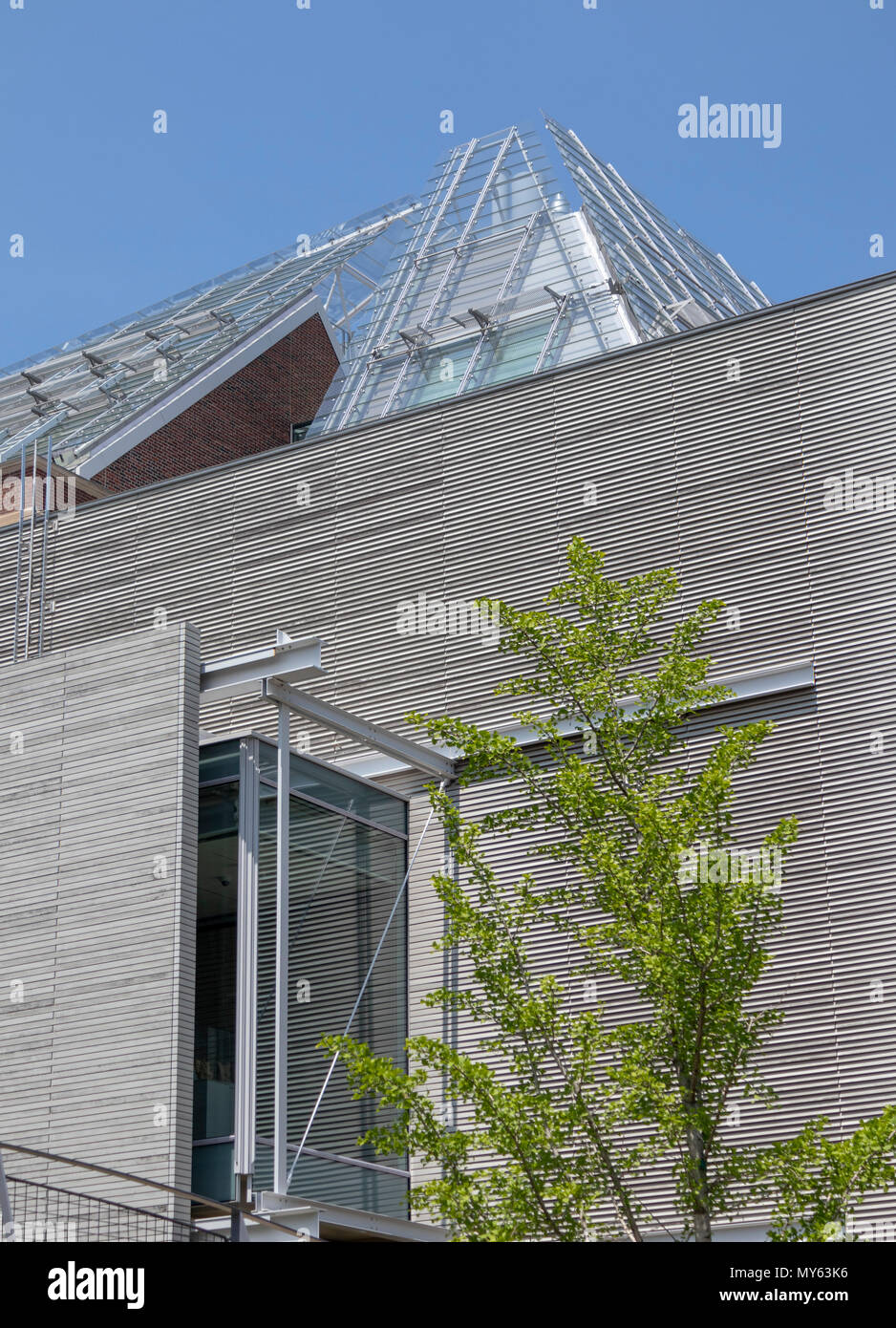 Harvard Arte Musei estensione da Renzo Piano, 2014, Cambridge, Massachusetts, STATI UNITI D'AMERICA Foto Stock