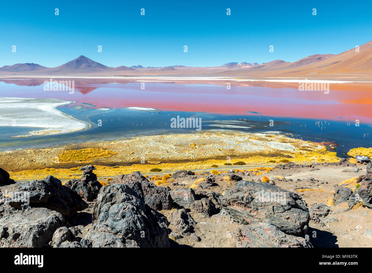 Il paesaggio della Laguna Colorada o Rosso Laguna in sale di Uyuni regione piana, Bolivia, Sud America. I colori rossi sono dovuti alle alghe e sedimenti. Foto Stock