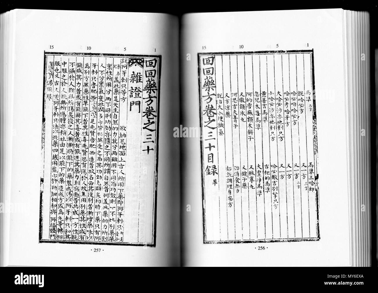 . 中文（简体）‎: 回回药方书影 . Il XIII secolo. 十三世纪中国穆斯林 249 HUIHUIYAOFANG Foto Stock