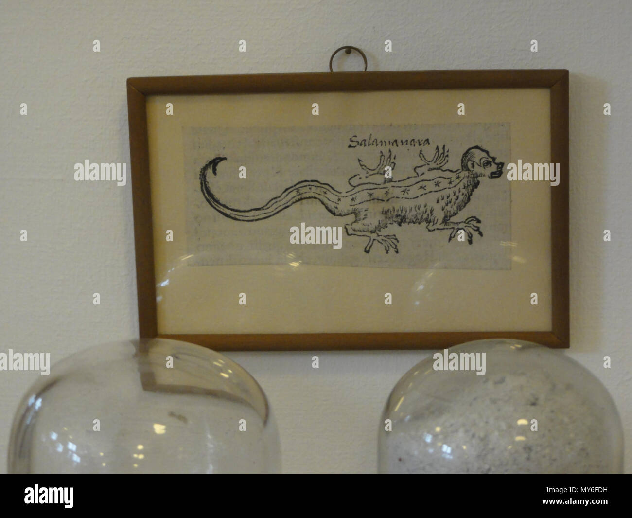 . Basilea - Pharmazie-Historisches Museum der Universität Deutsch: Salam...., 16. Jahrhundert? (Abb. in Cosmographia (Münster)?) . 6 Ottobre 2012 14:13:34. Utente:Matte 64 Basel 2012-10-06 Lotto Parte 2 (8) Foto Stock