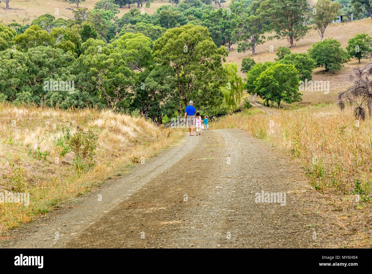 Nonno a piedi con i suoi nipoti lungo un percorso nella parte superiore della Valle del Cacciatore, NSW, Australia. Foto Stock