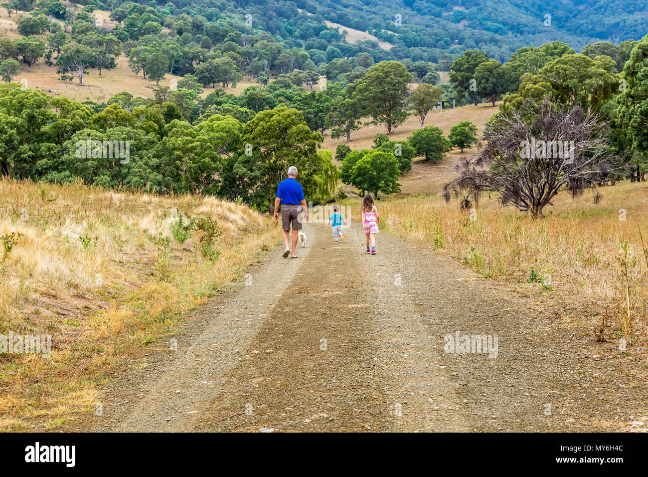 Nonno a piedi con i suoi nipoti e un cane, lungo un percorso nella parte superiore della Valle del Cacciatore, NSW, Australia. Foto Stock
