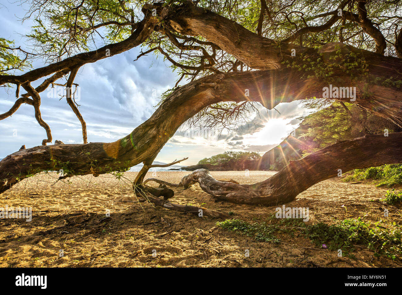 Impressione di Makena Beach in Maui, Hawaii Foto Stock