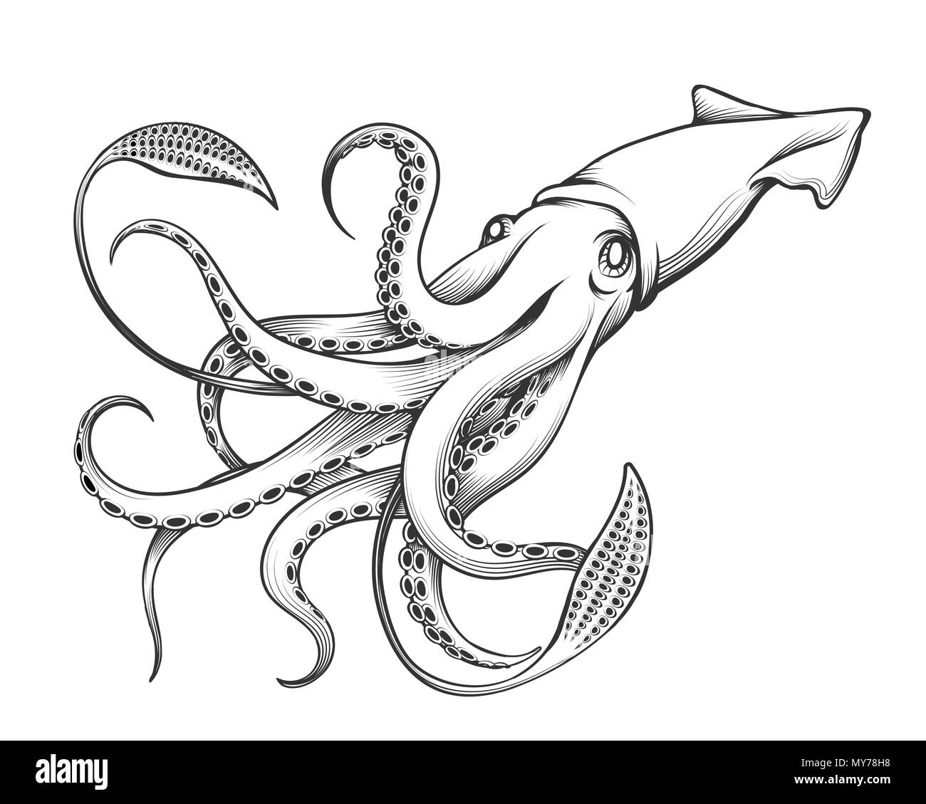 Calamaro gigante disegnato in Incisione stile di tatuaggio. Illustrazione Vettoriale. Illustrazione Vettoriale