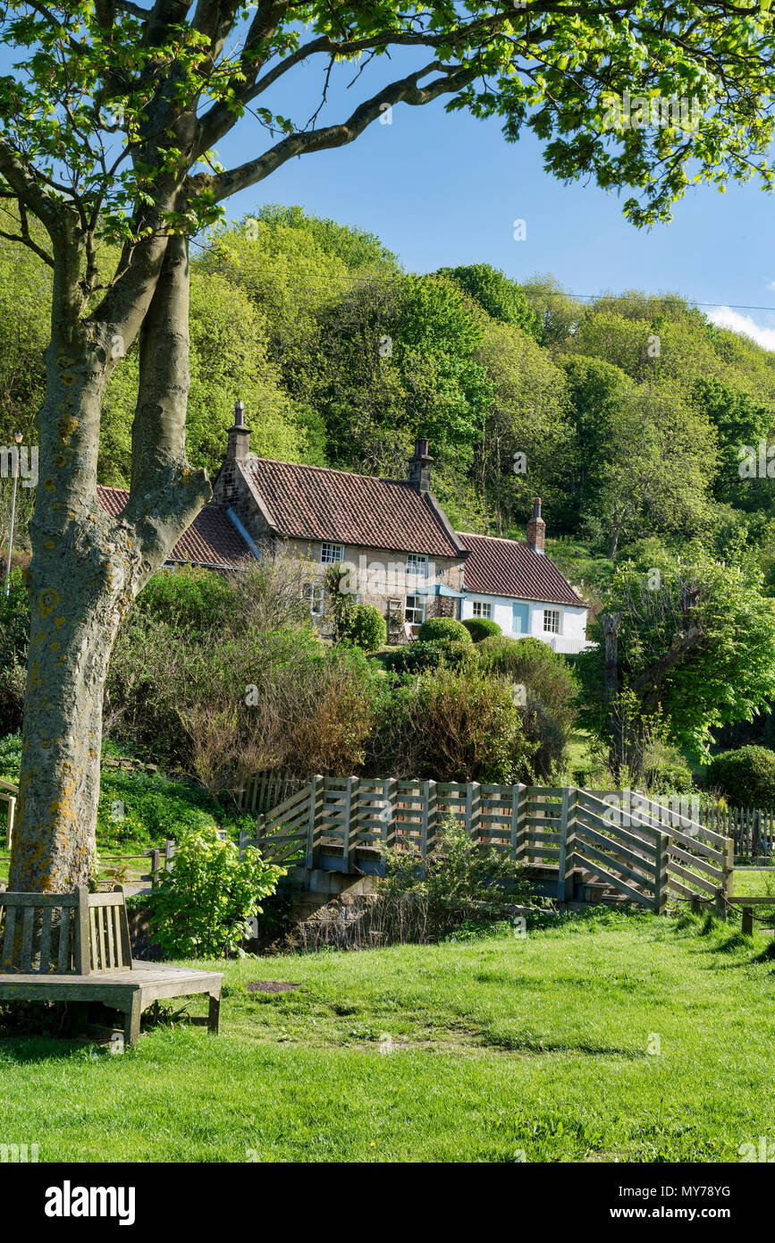 Caratteristico e cottages linea la Beck che scorre attraverso il villaggio costiero di Staithes. Foto Stock