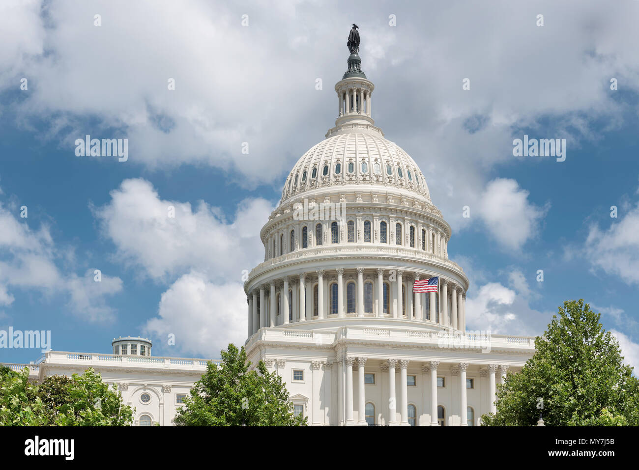 Gli Stati Uniti Campidoglio di Washington DC, Stati Uniti d'America. Foto Stock