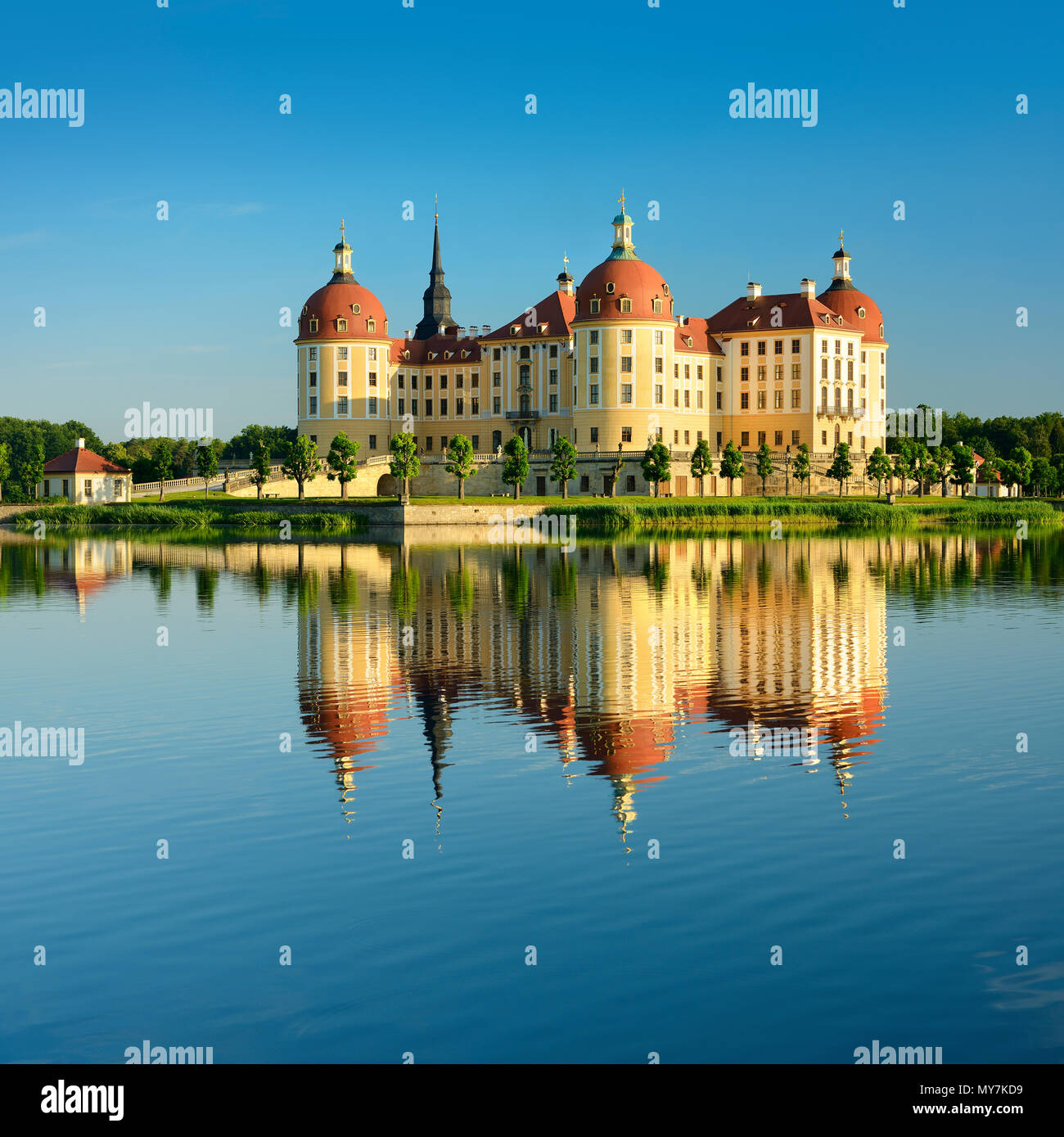 Castello di Moritzburg, residenza di caccia di Augusto il Forte, acqua di riflessione nel lago, Sassonia, Germania Foto Stock