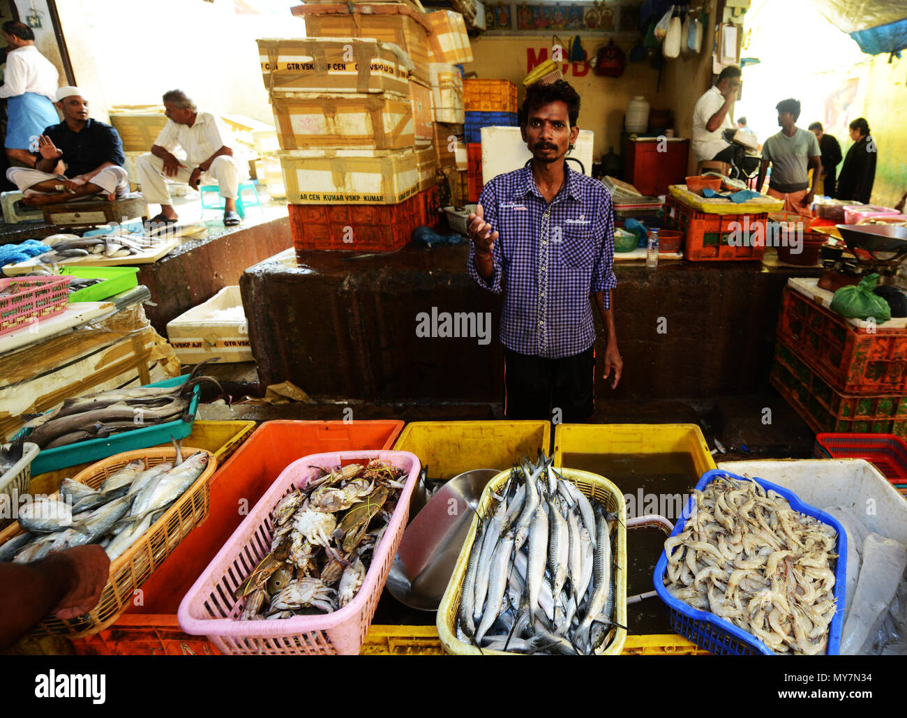 Al mercato del pesce a Chennai, India. Foto Stock