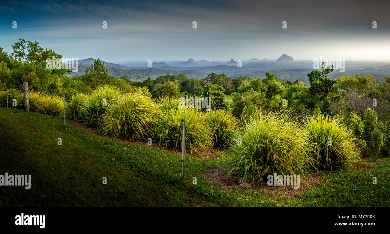 Monti Glasshouse Panorama. Sunshine Coast. Australia. Foto Stock