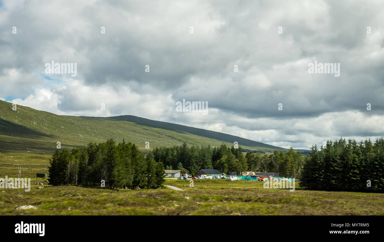 Un paesaggio rurale della pianura scozzese, Scotland, Regno Unito Foto Stock