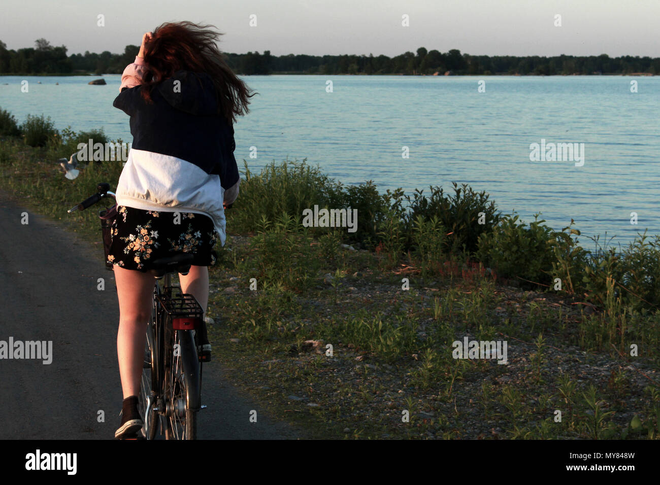 Una ragazza in bicicletta lungo una strada nella riserva naturale Oset situato a örebro Foto Stock