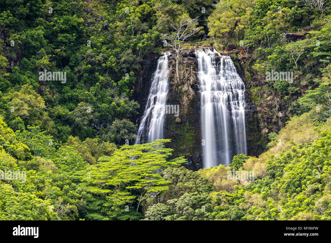 Una lunga esposizione delle Cascate Opaekaa in Kauai, Hawaii Foto Stock