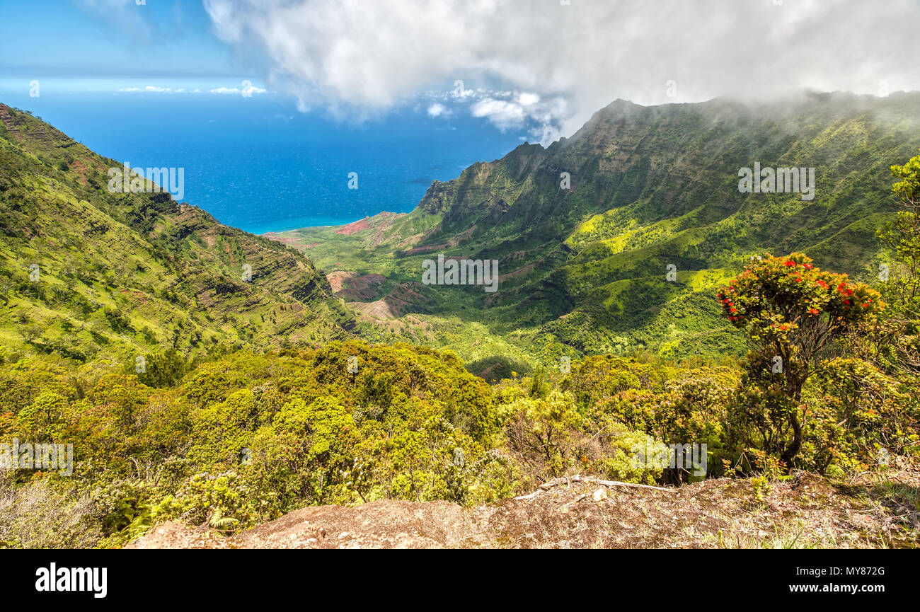 Vista panoramica sulla valle Kalalau, Kauai, Hawaii Foto Stock