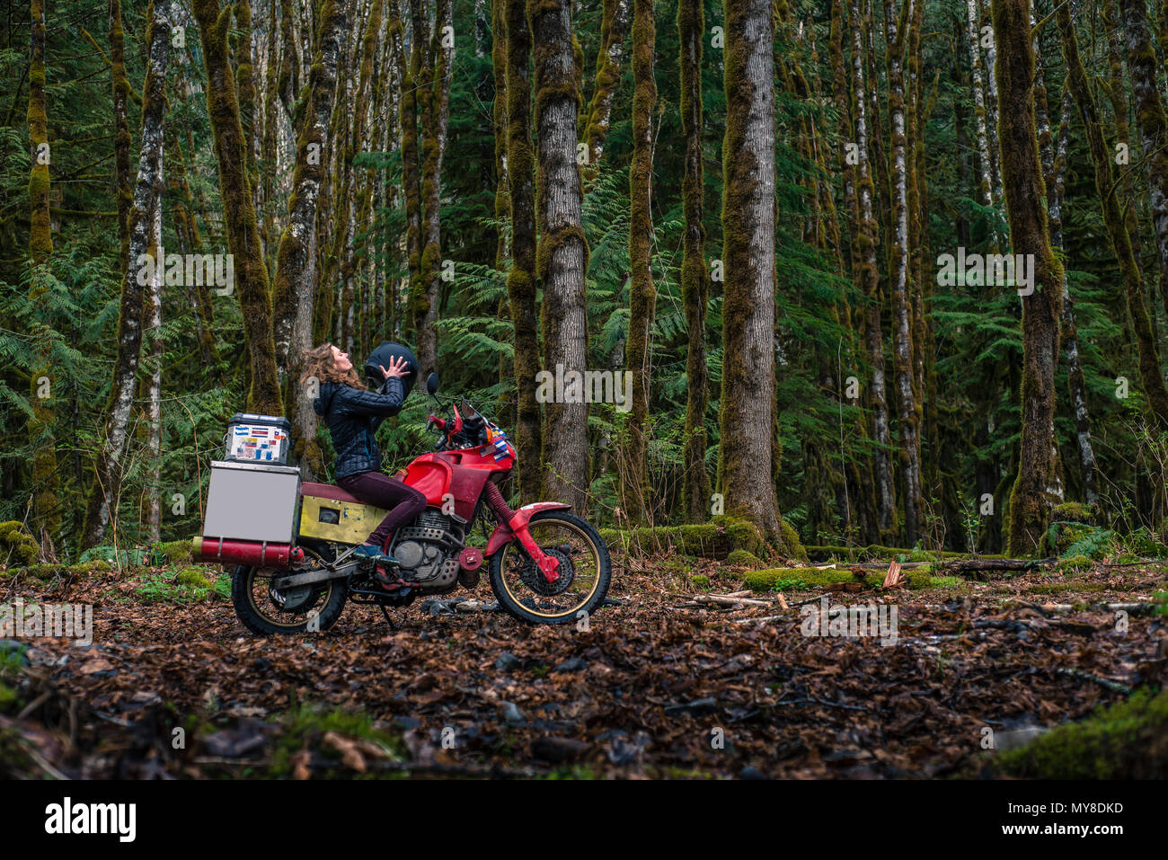 Equitazione donna motociclo in foresta, Squamish, Canada Foto Stock