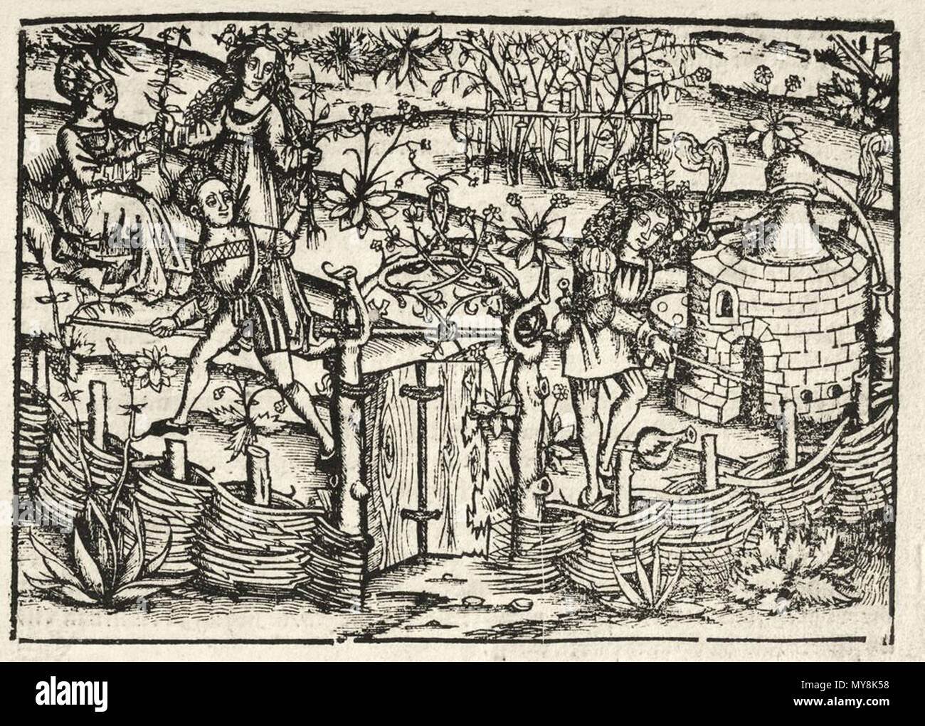 . Français : Frontispice de Das distilierbuch 1521 Jardin des plantes. Récolte des plantes médicinales et distillazione. Il 20 gennaio 2016, 07:51:38. Hieronymus Brunschwig 269 Jardin distillare Brunschwig Foto Stock
