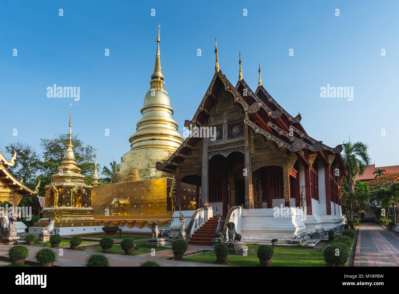 Phra Singh tempio al mattino. Chiang Mai, Thailandia. Foto Stock