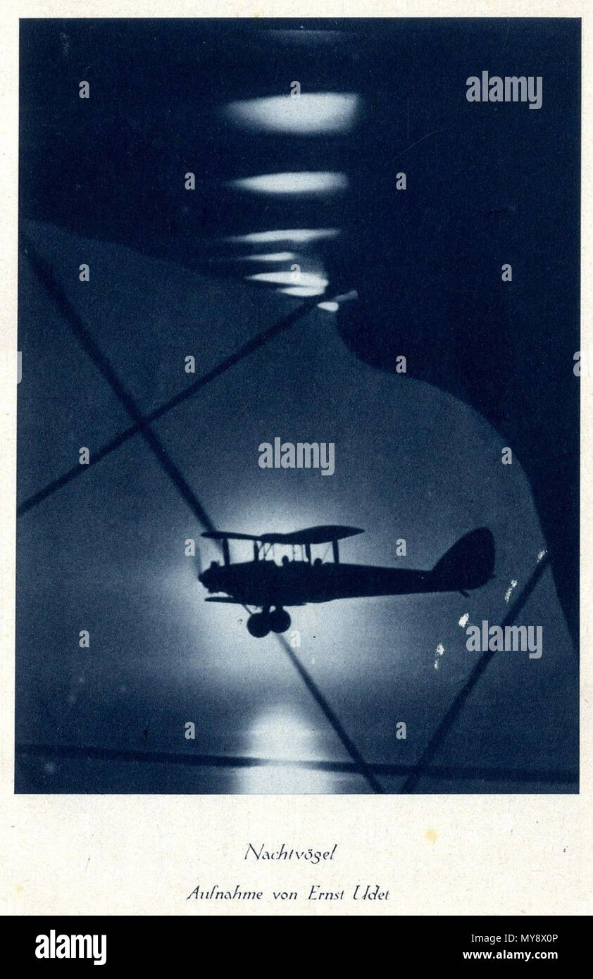 380 Nachtvögel. Aufnahme von Ernst Udet c. 1930 Foto Stock