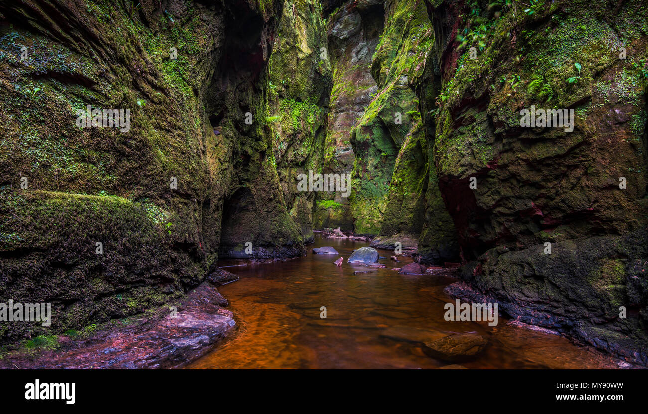 La gola a Finnich Glen, noto anche come diavoli pulpito vicino a Killearn Scozia Scotland Foto Stock