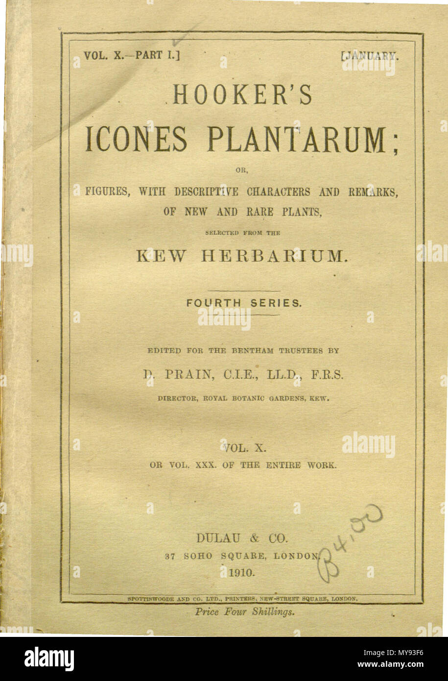 . Hooker - Icones Plantarum vol. 30, titolo 2 . (1913). modificare da William Jackson Hooker (1785-1865) e Joseph Dalton Hooker (1817-1911) 12 1prostitute - Icones Plantarum vol. 30 Titolo 2 (1913) Foto Stock