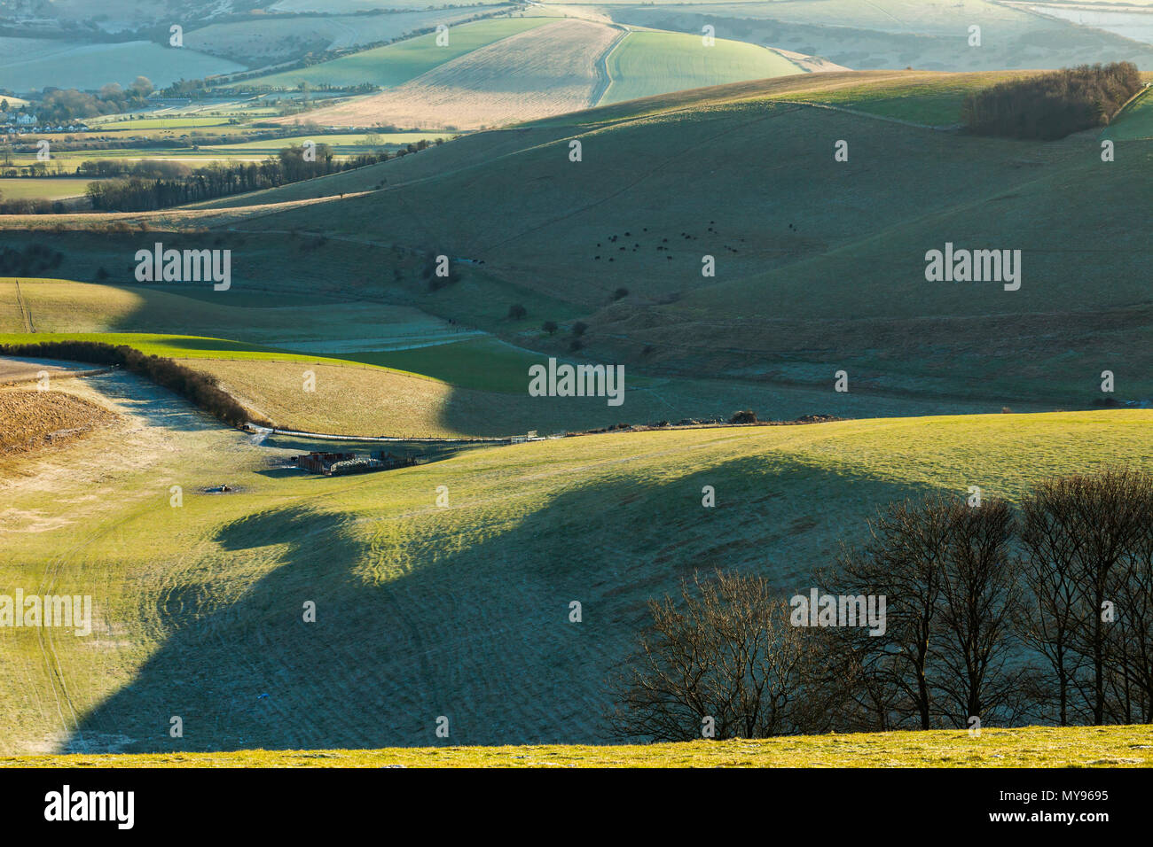 Inverno mattina a Steyning Bowl, South Downs National Park, West Sussex. Foto Stock
