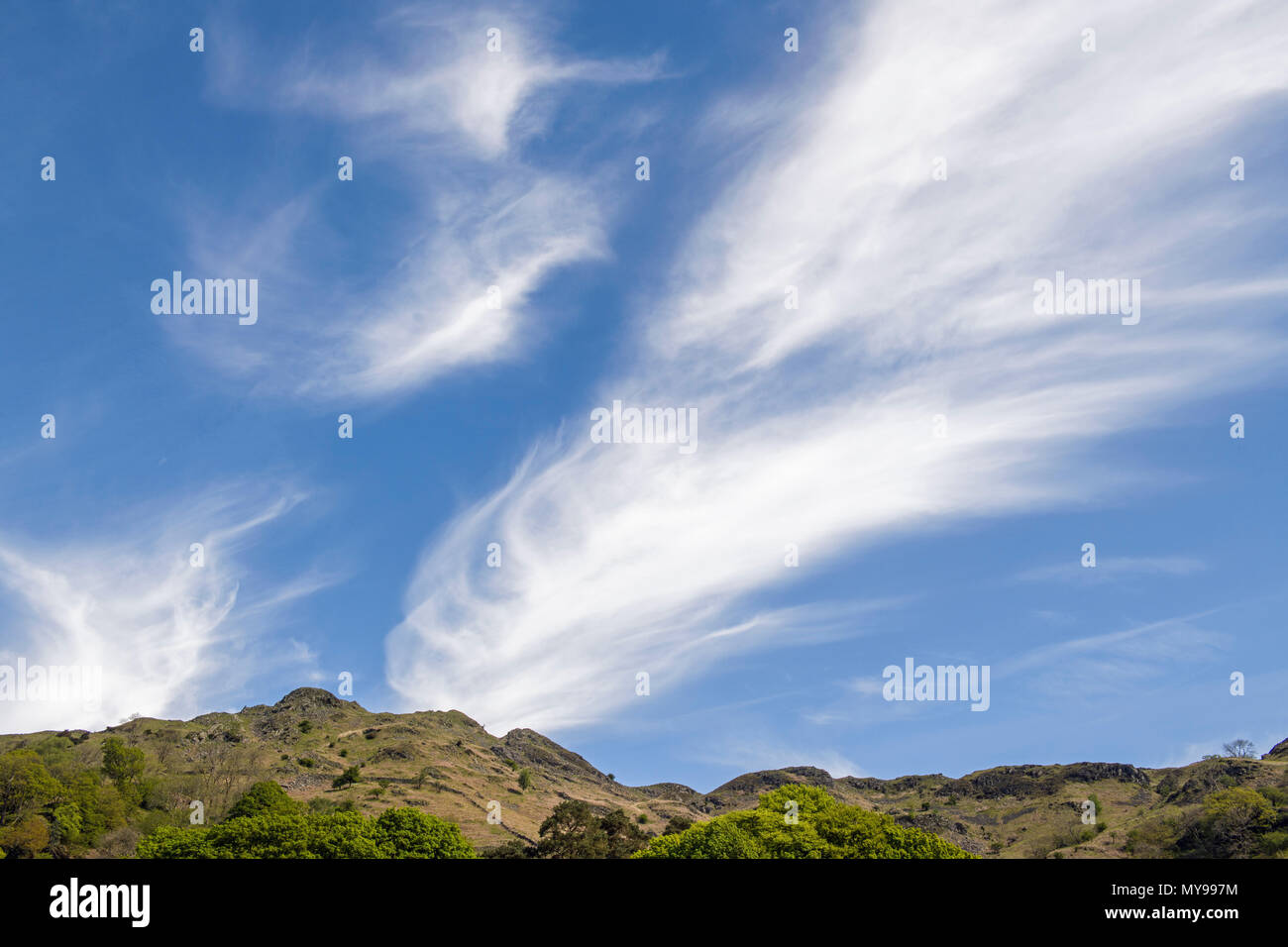 Cirrus nuvole contro un cielo blu nel distretto del Lago Foto Stock