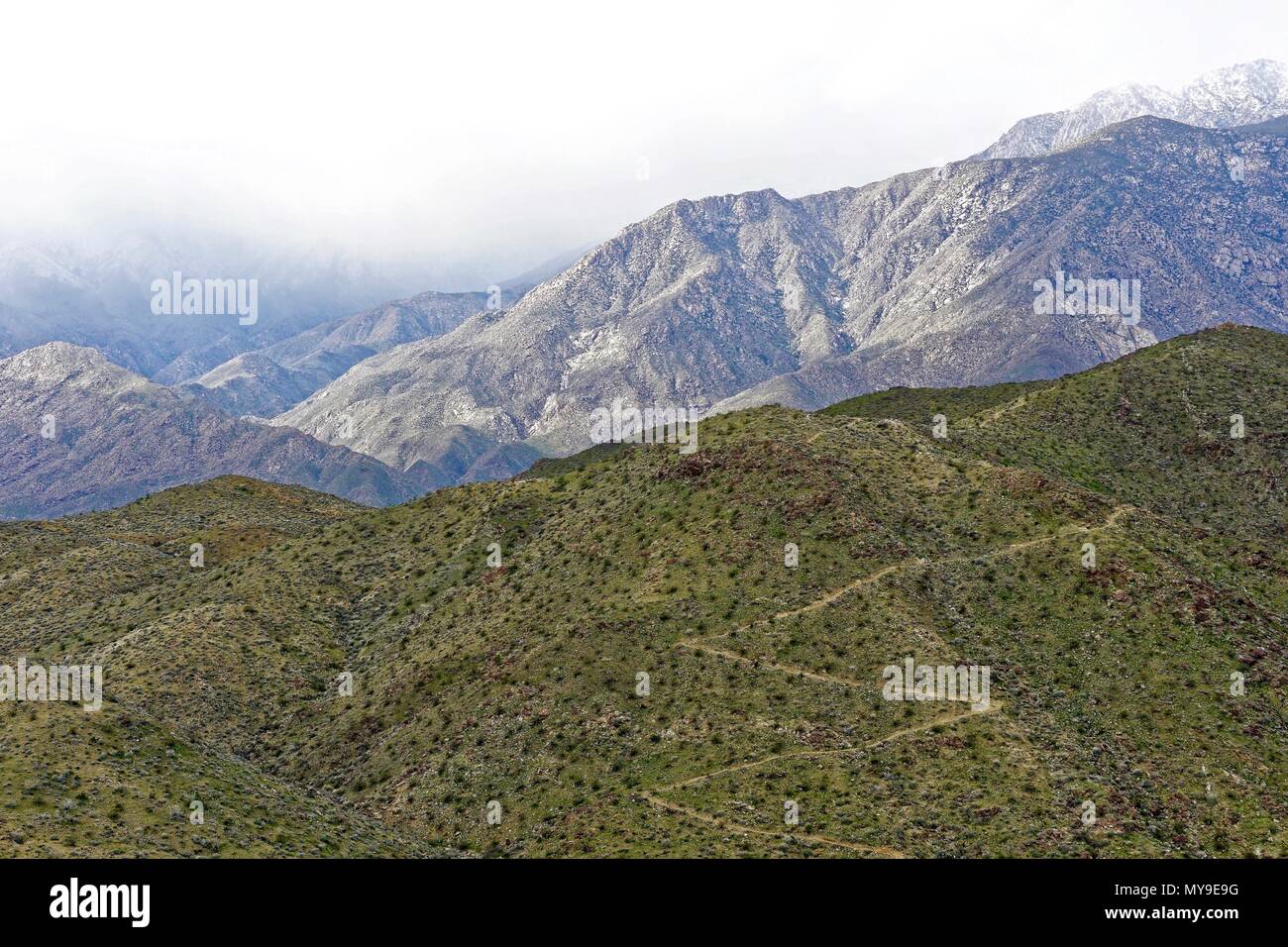 Sentieri escursionistici sul verde pendio di montagna vicino a Palm Springs, California Foto Stock
