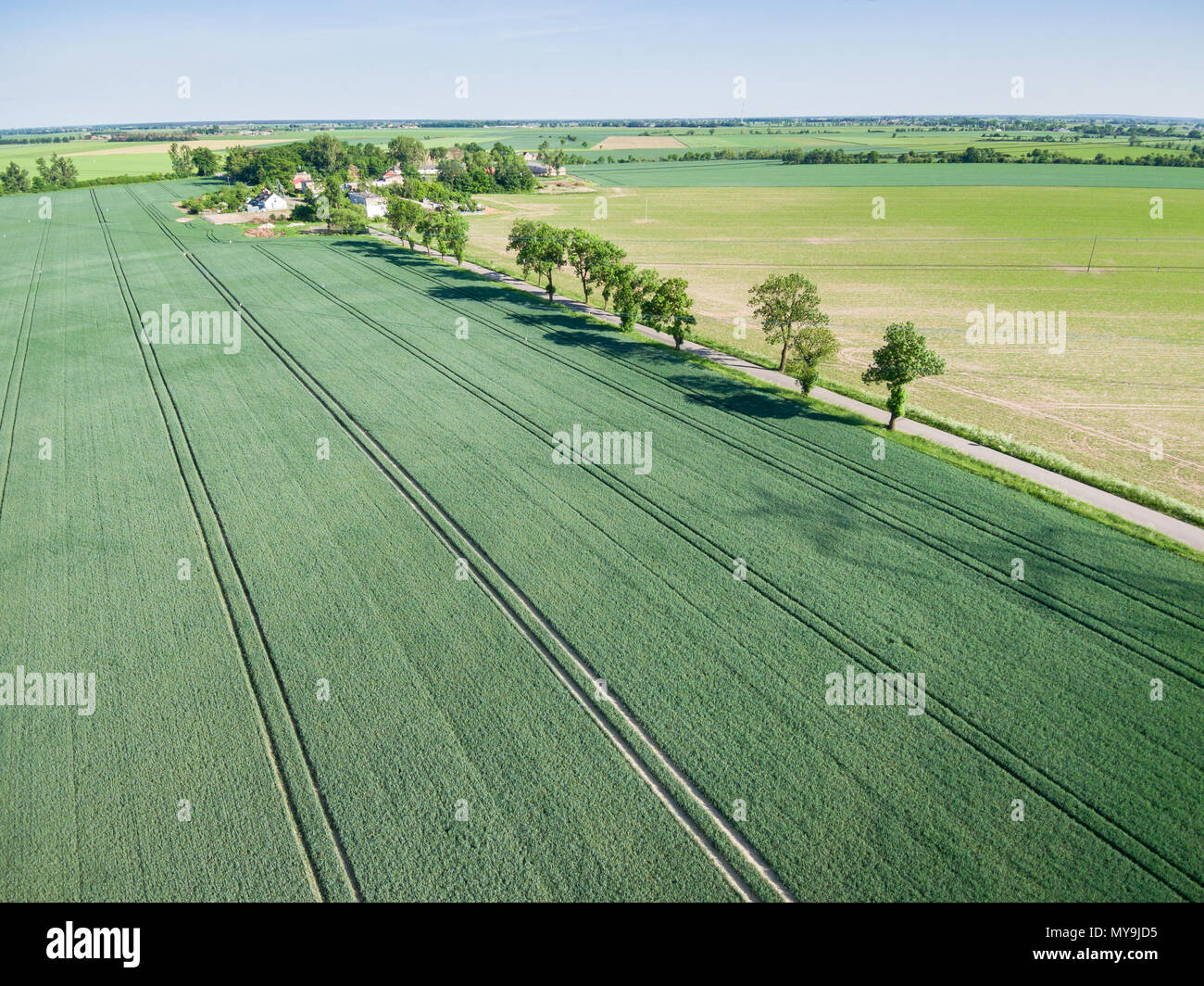 Vista aerea del paese su strada e su campo verde di grano Foto Stock