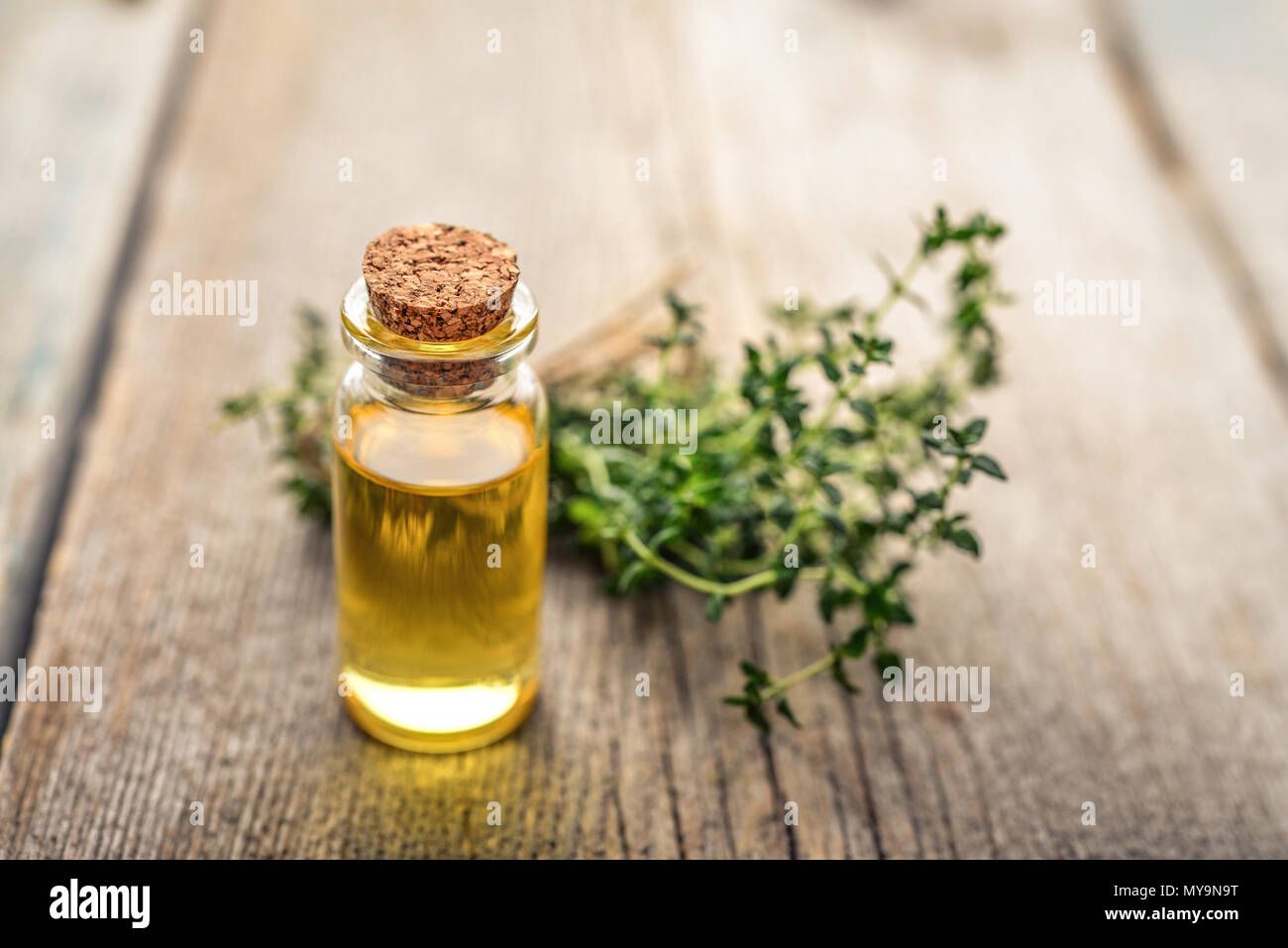 Olio essenziale di timo in un flacone di vetro con tappo di sughero e di timo fresco herb su sfondo di legno Foto Stock