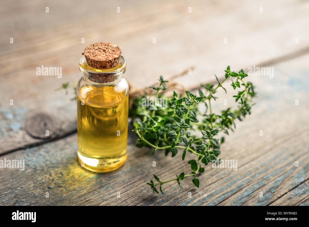 Olio essenziale di timo in un flacone di vetro con tappo di sughero e di timo fresco herb su sfondo di legno Foto Stock