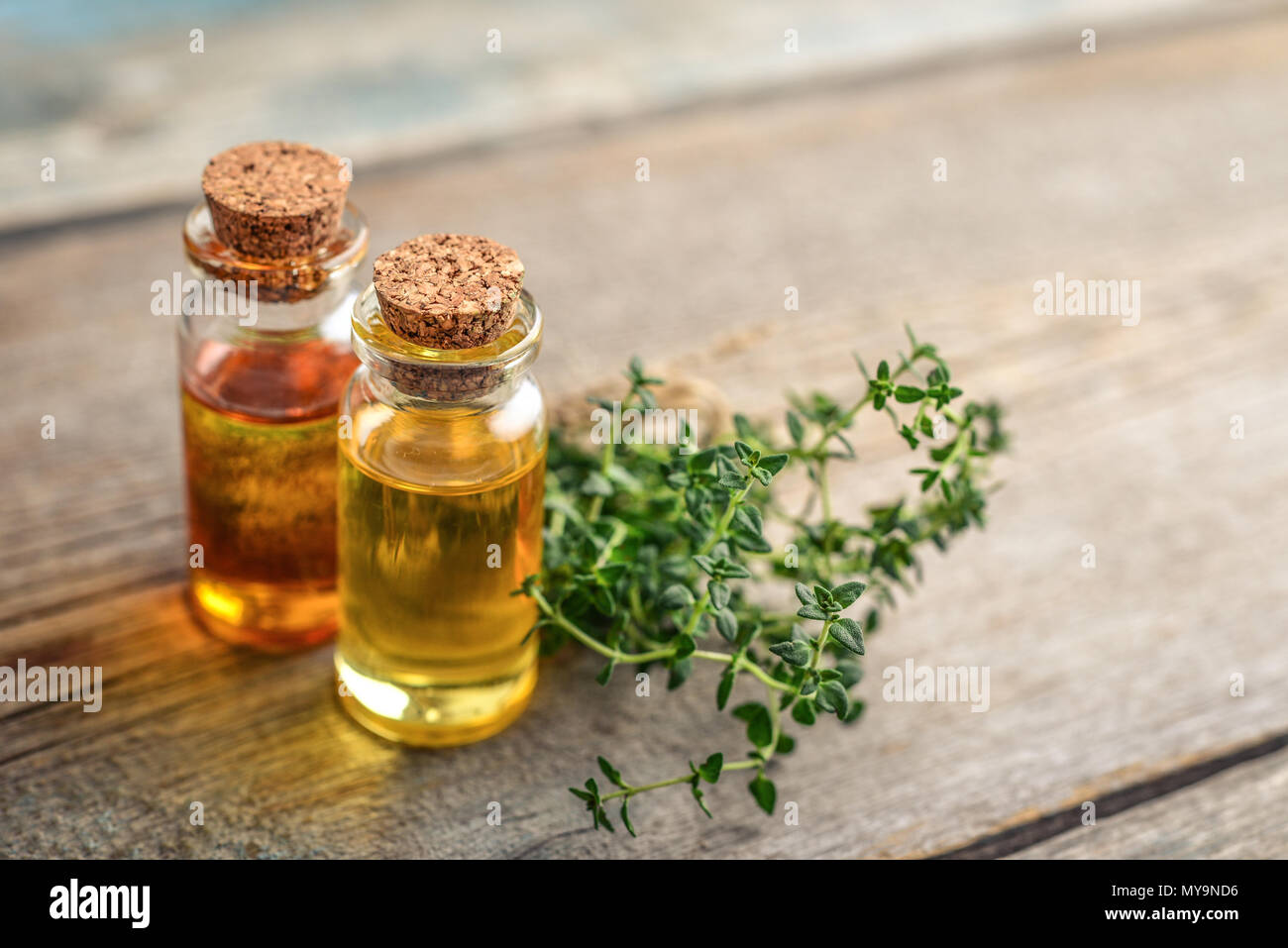 Olio essenziale di timo in un flacone di vetro con tappo di sughero e di timo fresco herb su sfondo di legno Foto Stock