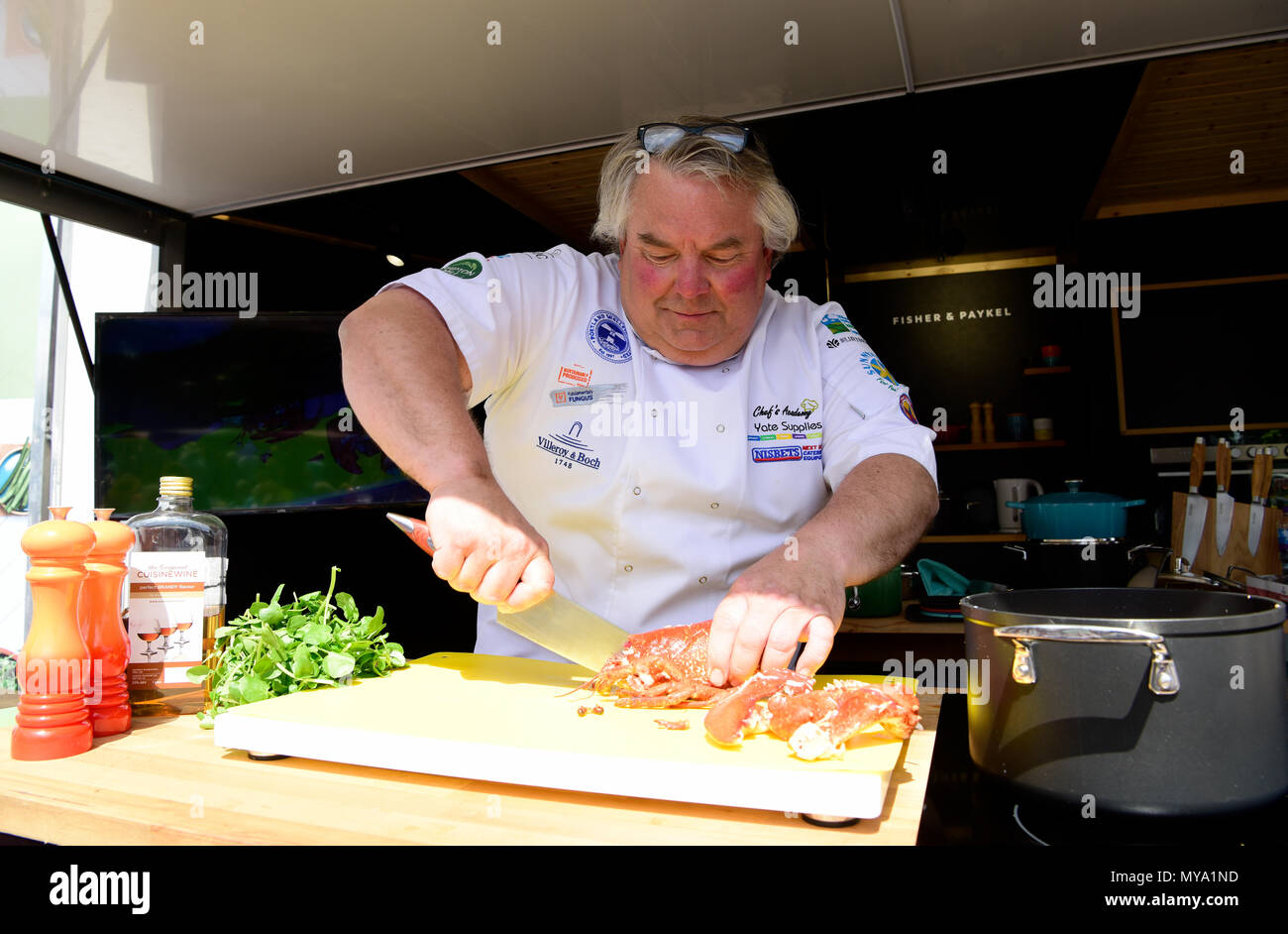 Andy Mackenzie, Executive Chef a esclusivo chef Academy, dando una dimostrazione di cottura durante l'annuale Festival di crescione, Alresford, Hampshire, Foto Stock