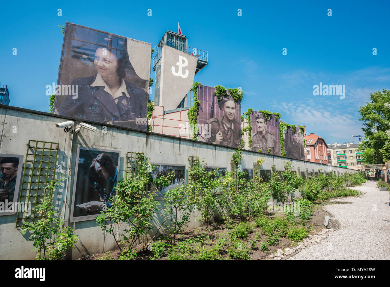 Warsaw Rising Museum, la vista del museo giardino di rose dominato da grandi ritratti di combattenti per la resistenza della insurrezione del 1944, Polonia. Foto Stock